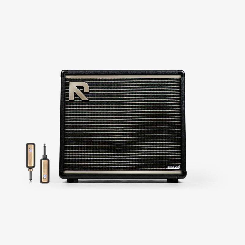 REACTOR + Spark LINK | Positive Grid – Canada - Positive Grid